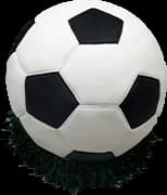 A sports design Zeppoli has made